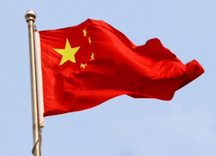 这只蜘蛛不简单,光看这个大洞都知道有多厉害了!